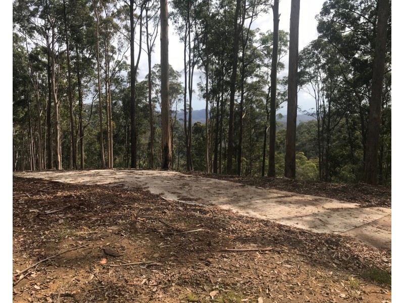 Lot 5, 106 Wongawallan Road, Tamborine Mountain QLD 4272
