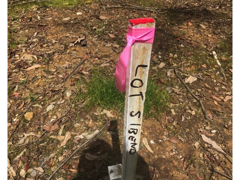 Lot 5, 106 Wongawallan Road, Tamborine Mountain QLD 4272