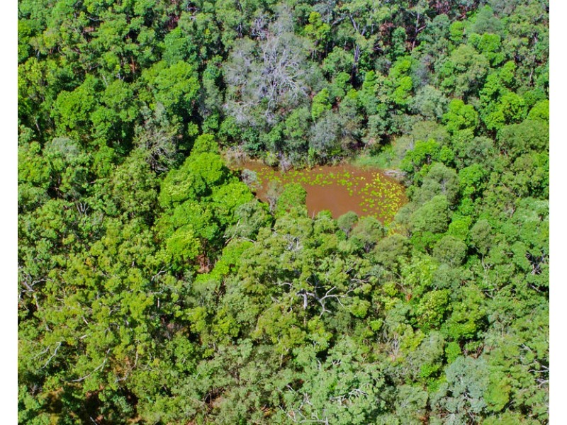 107 Kriedeman Road, Upper Coomera QLD 4209