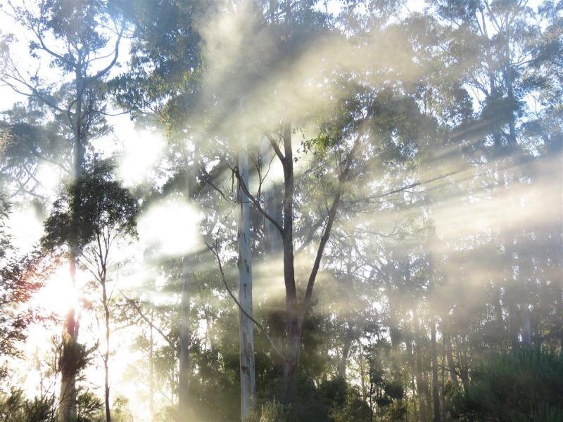 13563 Highland Lakes Road, Golden Valley TAS 7304