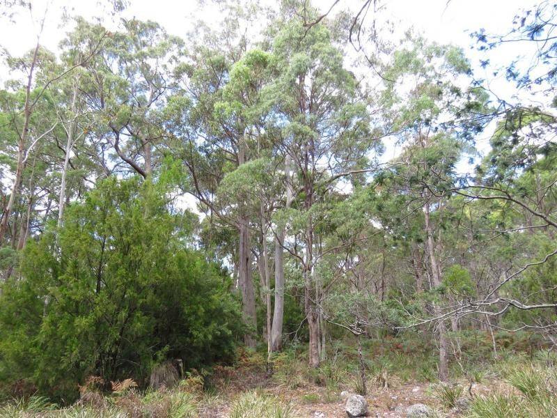 13563 Highland Lakes Road, Golden Valley TAS 7304