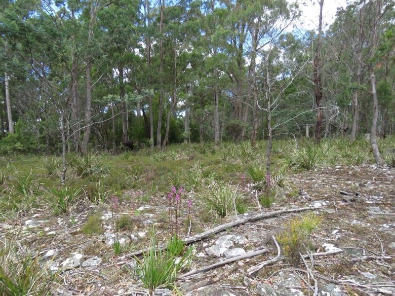 13563 Highland Lakes Road, Golden Valley TAS 7304