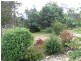 13563 Highland Lakes Road, Golden Valley TAS 7304