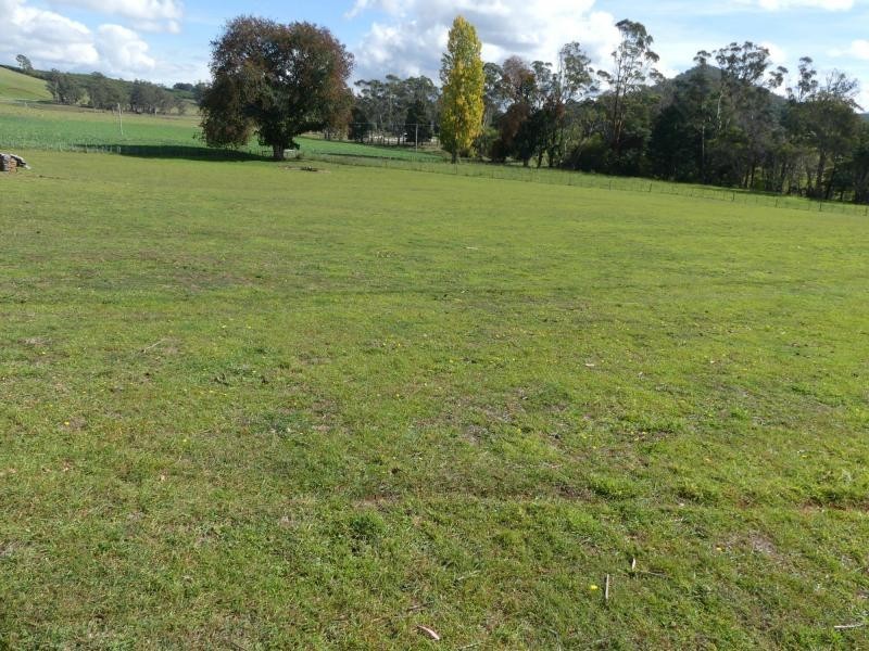 50 Dairy Plains Road, Needles TAS 7304