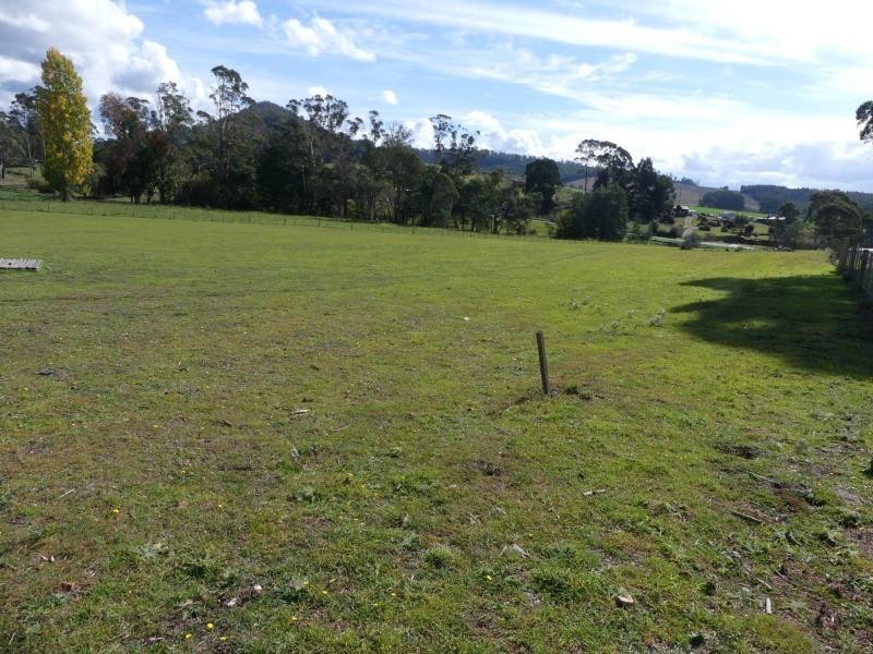 50 Dairy Plains Road, Needles TAS 7304