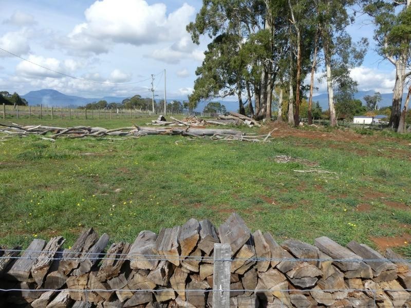 50 Dairy Plains Road, Needles TAS 7304