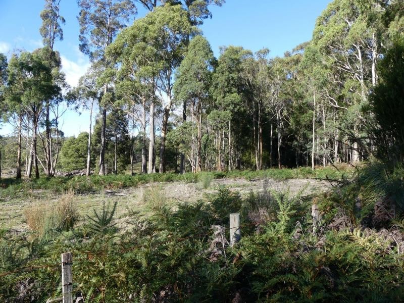 L2 Quamby Brook Road, Quamby Brook TAS 7304