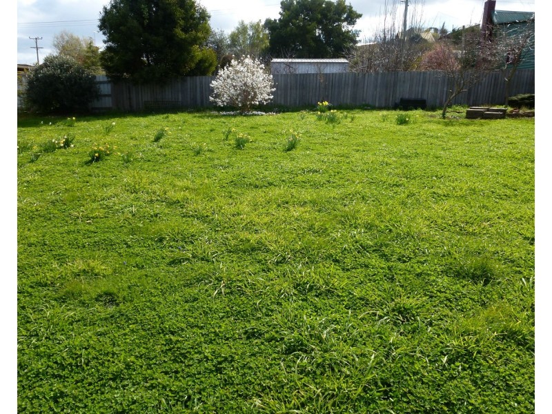 53A West Barrack Street, Deloraine TAS 7304
