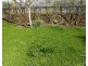 53A West Barrack Street, Deloraine TAS 7304