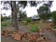 156 Saddlers Run Road, Reedy Marsh TAS 7304