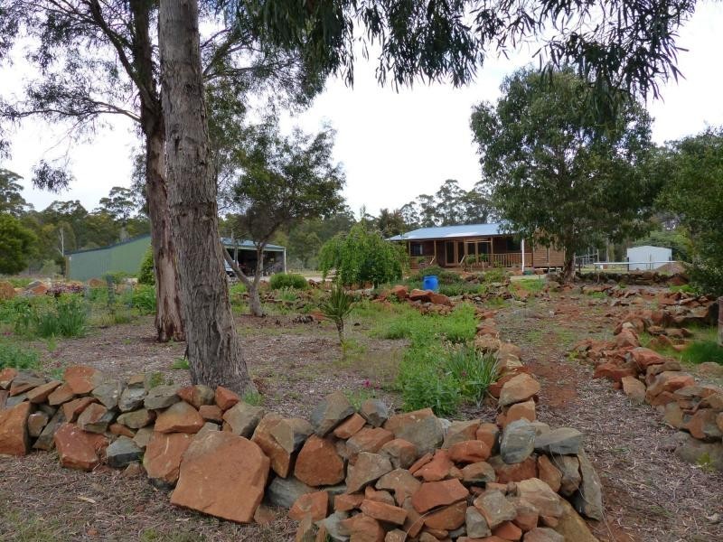 156 Saddlers Run Road, Reedy Marsh TAS 7304