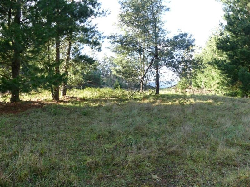 2756 Caveside Road, Mole Creek TAS 7304