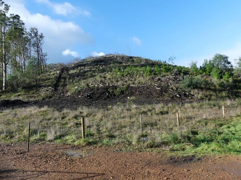 2756 Caveside Road, Mole Creek TAS 7304