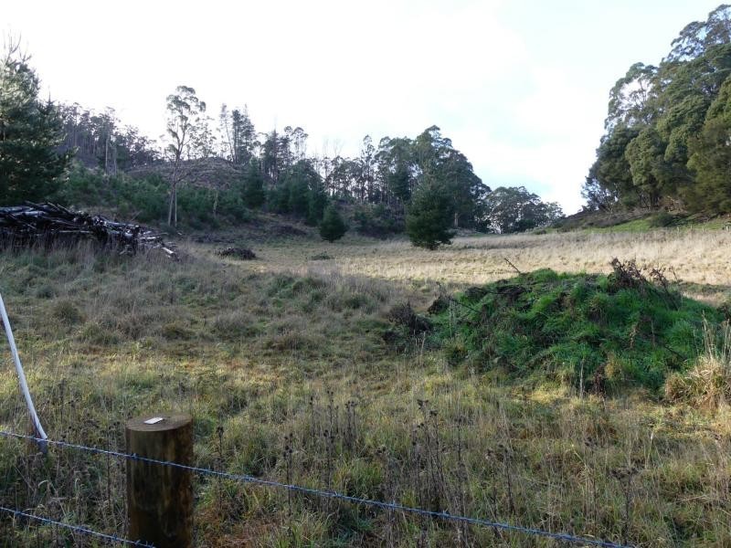 2756 Caveside Road, Mole Creek TAS 7304