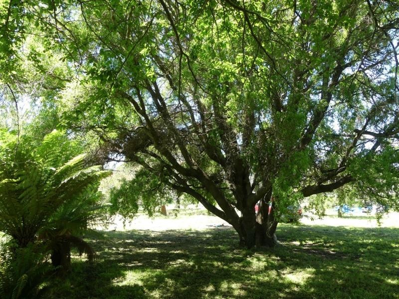 13 Parsonage Street, Deloraine TAS 7304
