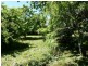 13 Parsonage Street, Deloraine TAS 7304