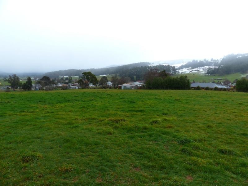 28 McNeil Street, Mole Creek TAS 7304