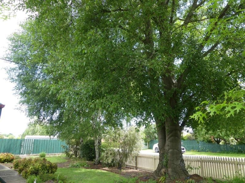 22 Meander Valley Road, Westbury TAS 7303
