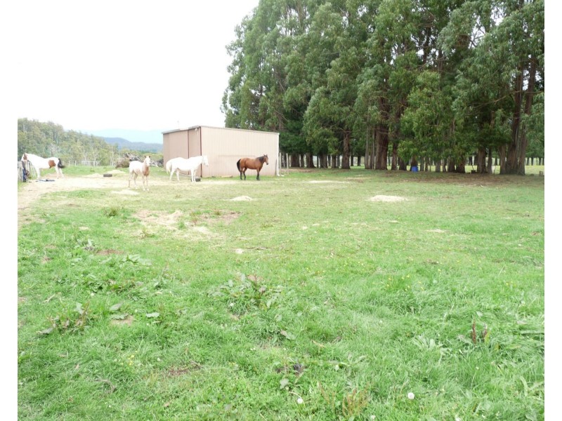 1112 Weegena Road, Weegena TAS 7304