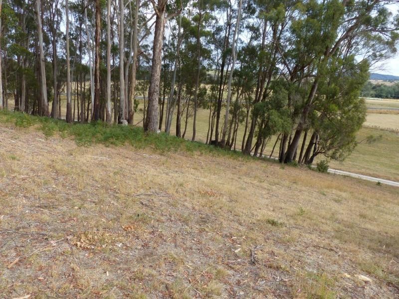 17 Barra Road, Deloraine TAS 7304