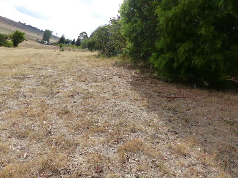 17 Barra Road, Deloraine TAS 7304