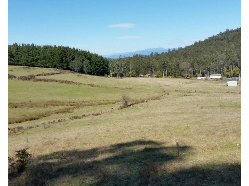320 Priestleys Lane, Birralee TAS 7303