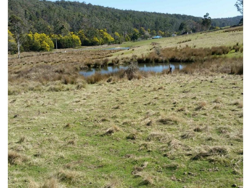 320 Priestleys Lane, Birralee TAS 7303