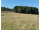 320 Priestleys Lane, Birralee TAS 7303