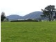 10 Junction Road, Mole Creek TAS 7304