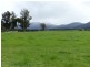 10 Junction Road, Mole Creek TAS 7304