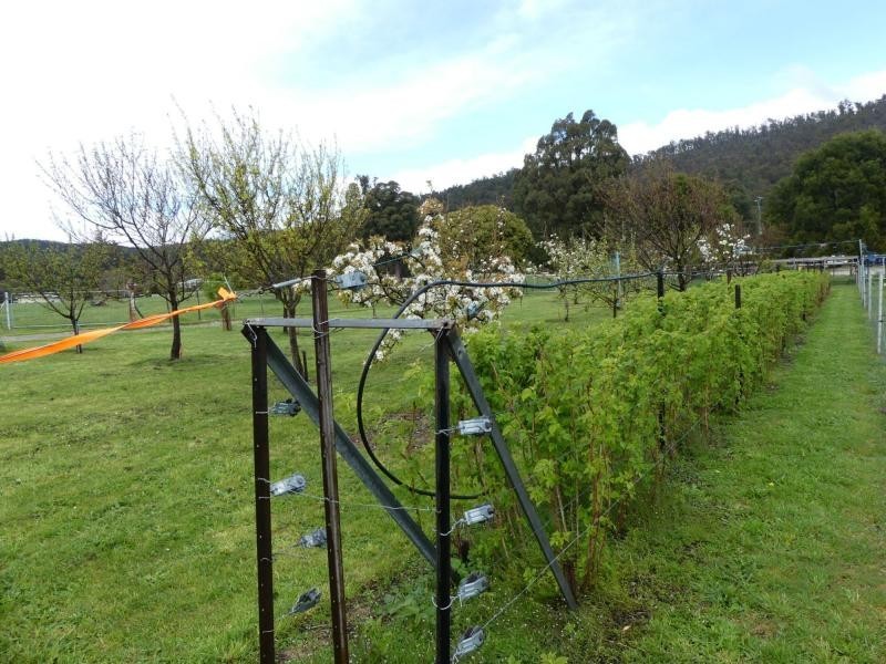 10 Junction Road, Mole Creek TAS 7304