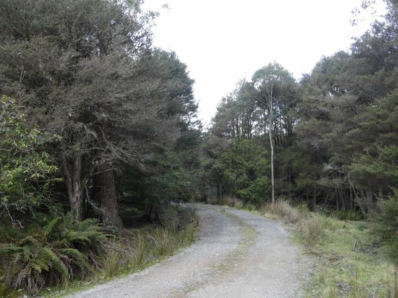 Golden Valley TAS 7304