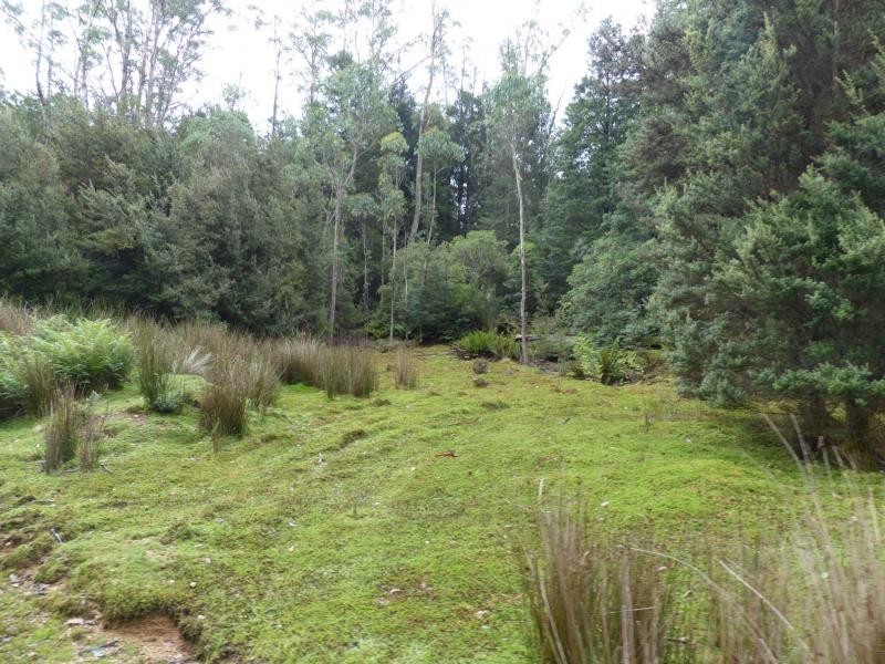 Golden Valley TAS 7304