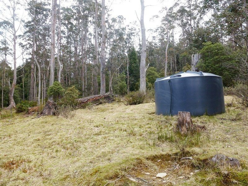 Golden Valley TAS 7304