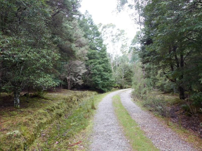 Golden Valley TAS 7304