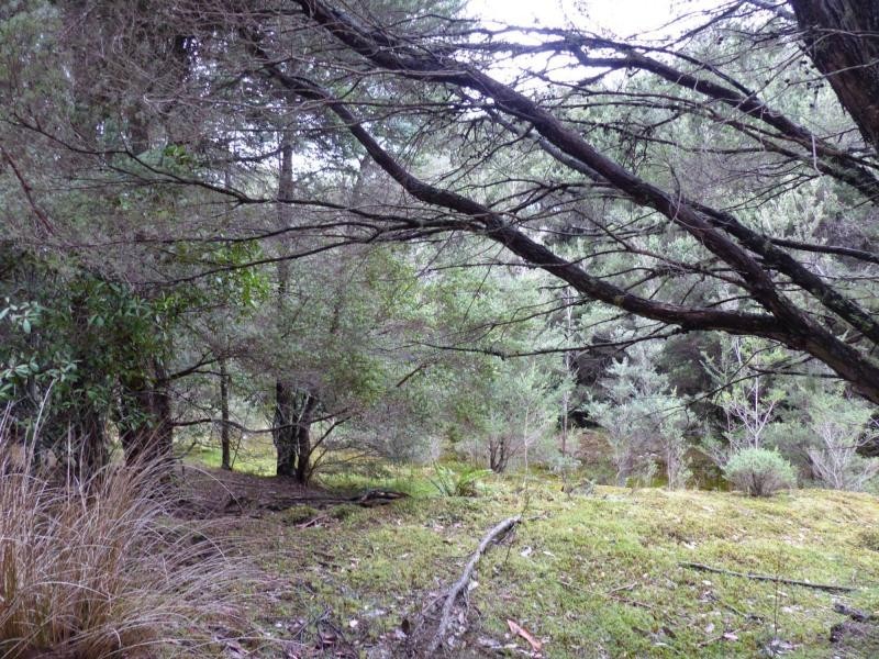 Golden Valley TAS 7304