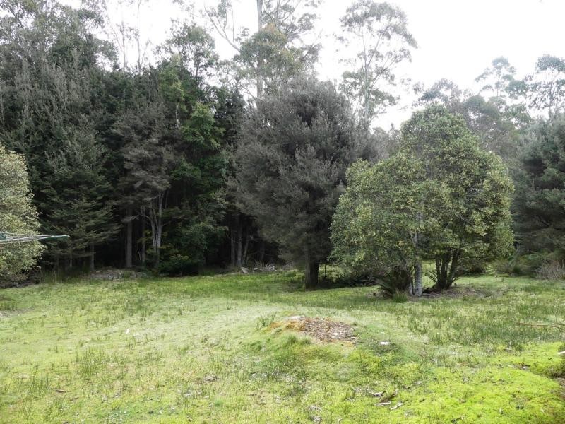 Golden Valley TAS 7304