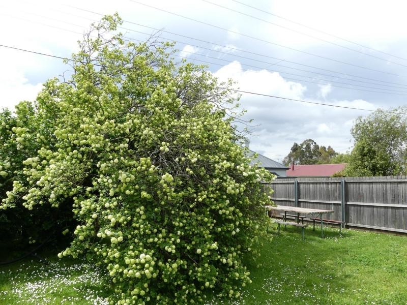 6 Railway Street, Deloraine TAS 7304