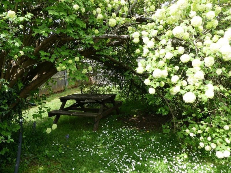 6 Railway Street, Deloraine TAS 7304