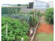 97 West Goderich Street, Deloraine TAS 7304