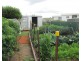 97 West Goderich Street, Deloraine TAS 7304