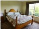 Mole Creek TAS 7304