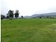 Mole Creek TAS 7304