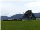 Mole Creek TAS 7304
