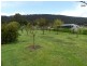 Mole Creek TAS 7304
