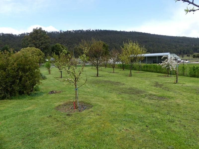 Mole Creek TAS 7304