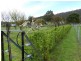 Mole Creek TAS 7304