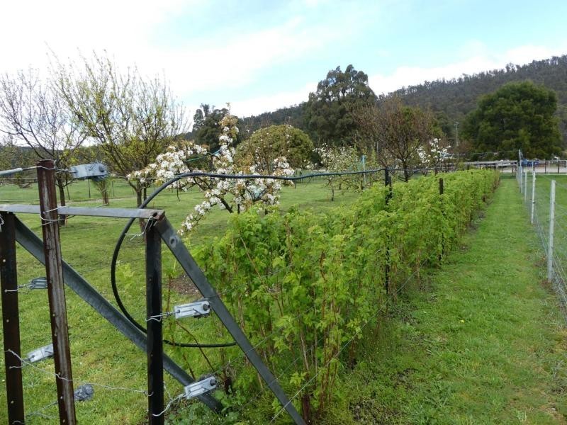 Mole Creek TAS 7304