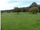 Mole Creek TAS 7304