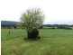 Mole Creek TAS 7304